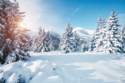 Czy ostrzejsza zima będzie miała duży wpływ na gospodarkę?