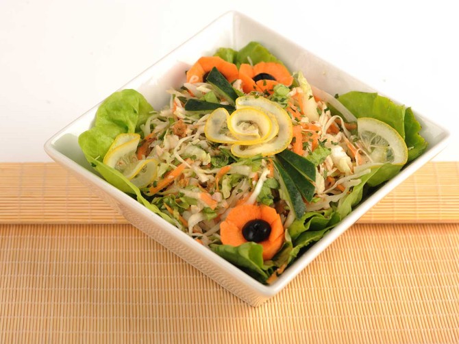 3443_salata-emil-conkic
