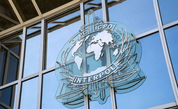 Przeciwko ar-Raisiemu wniesiono skargi karne w pięciu krajach, w tym we Francji, gdzie Interpol ma siedzibę oraz w Turcji, w której dokonuje się wyborów na to stanowisko.