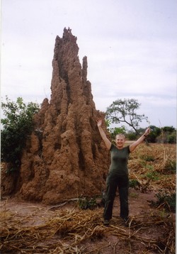 "Pieprz i wanilia" znów na ekranach