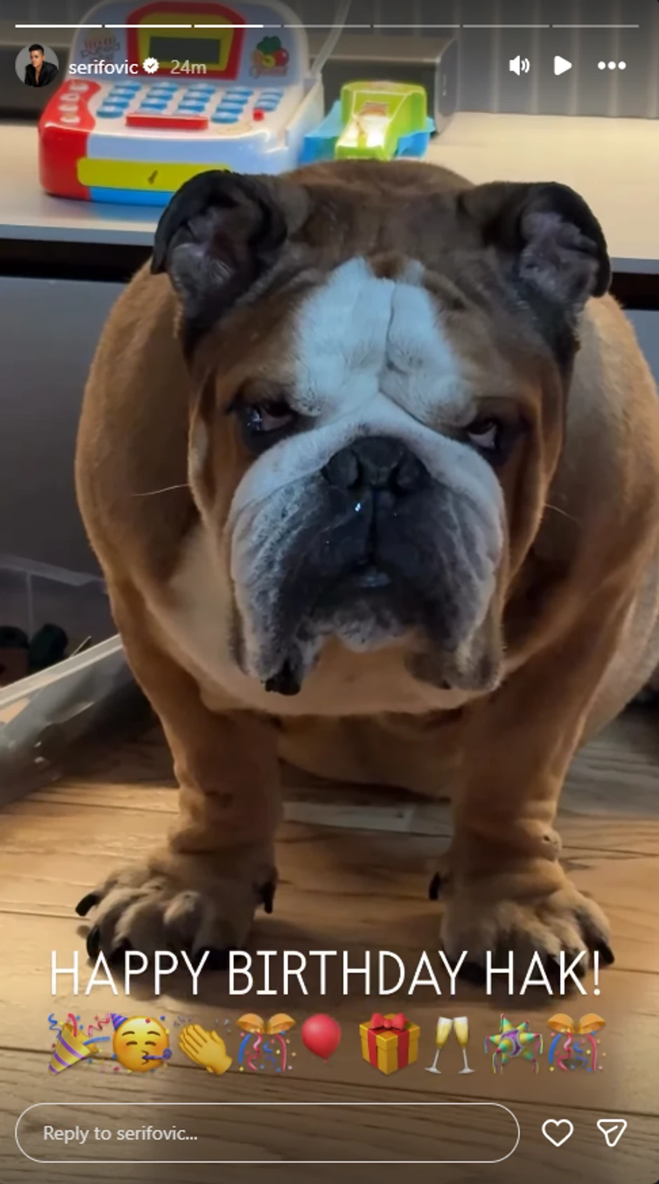 Marija i Mario Šerifović slave rođendan psu