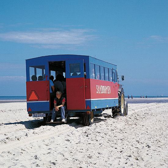 Galeria Dania - Skagen, obrazek 10