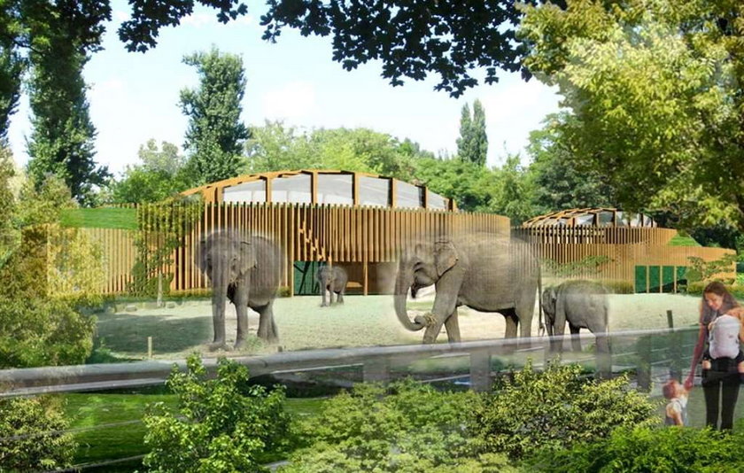 zoo, remont