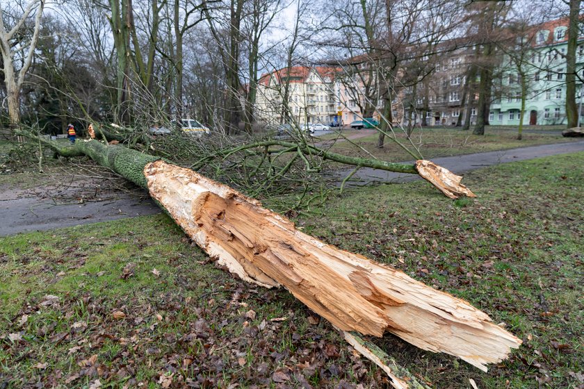 Szalejąca wichura w Szczecinie i w okolicach