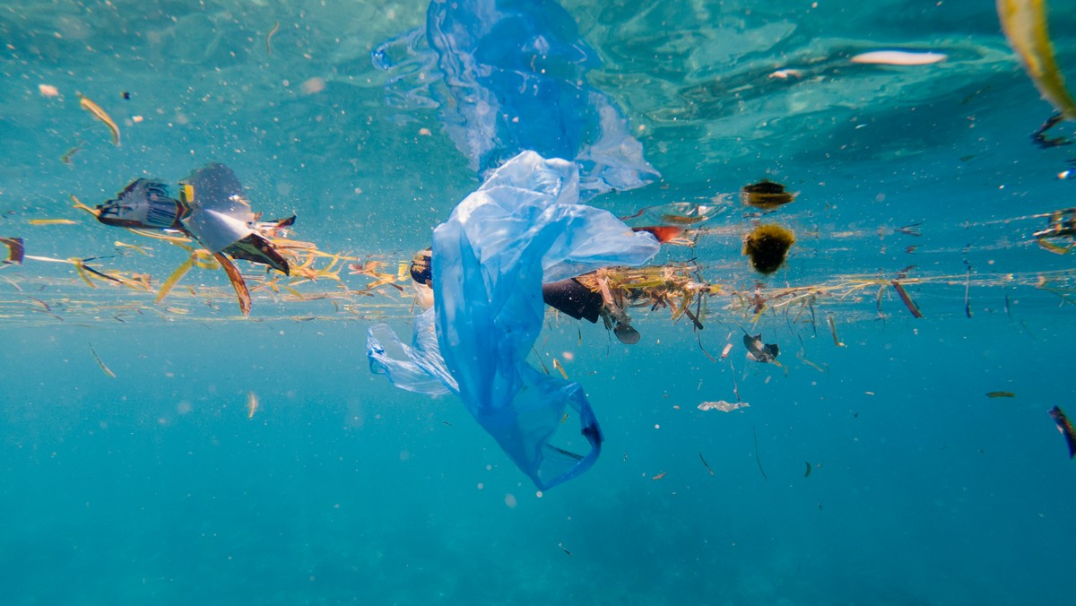 Zakaz plastikowych opakowań i sztućców w Unii Europejskiej