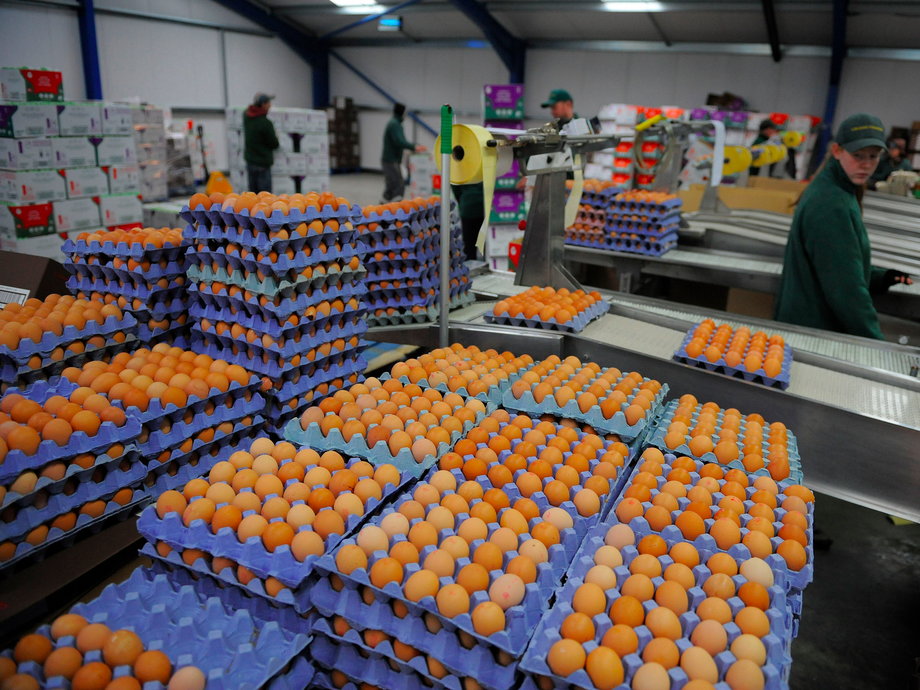 Eggs being prepared to be boxed on a James Potter free-range farm that produces eggs for Asda supermarkets, in Catton, northern England, in 2011.