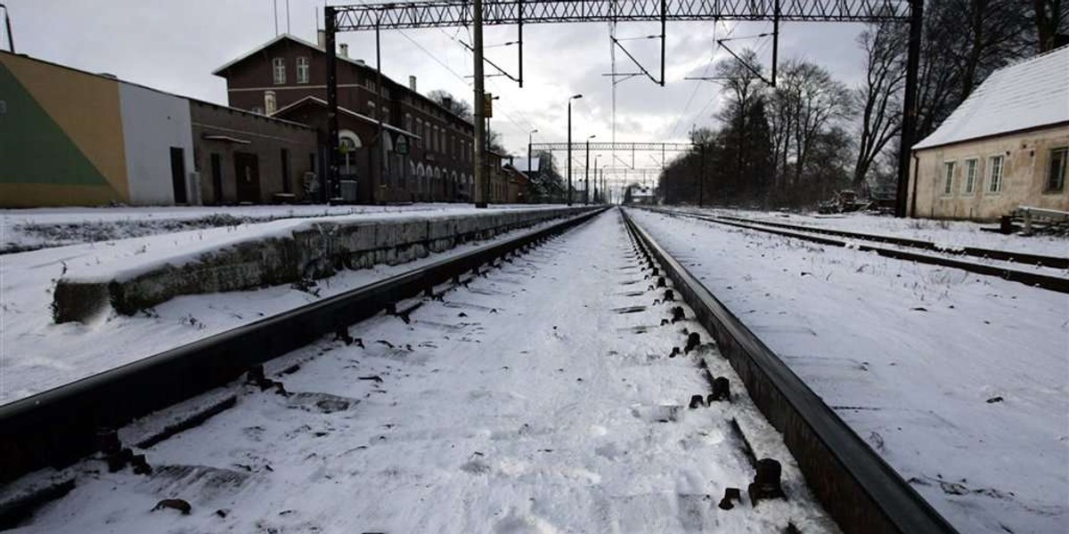 Przejechał po nim pociąg i żyje