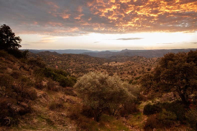 Park Natural Sierra de Andújar