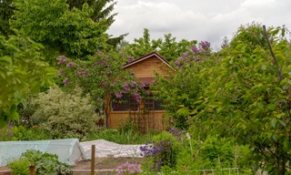 Namiastka wsi w mieście. Czyli jak kupić działkę ROD i gdzie jej szukać?