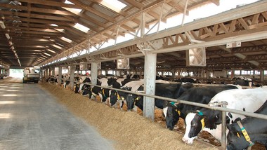 wyzwania zrównoważonego rolnictwa