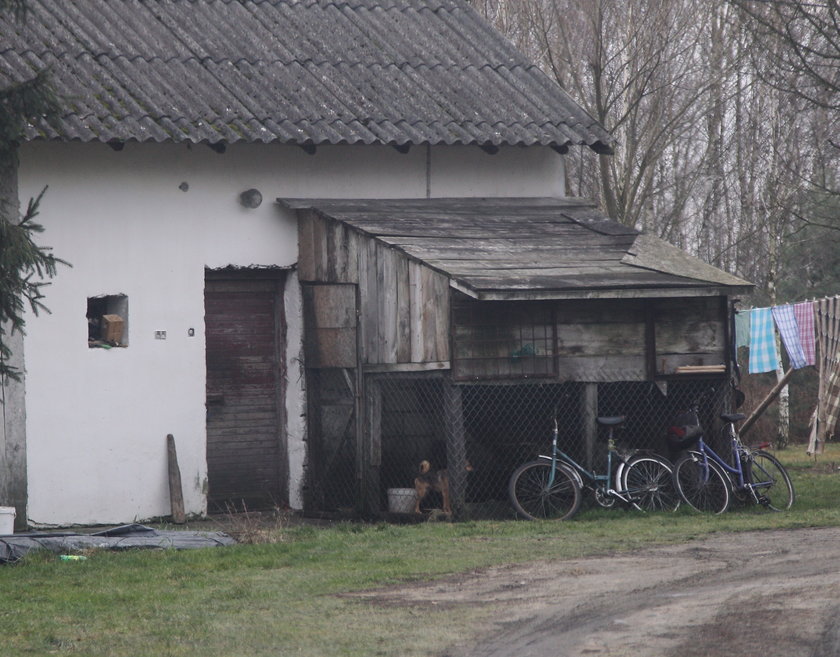 Matka trzymała ją w stajni