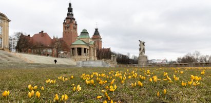 W pogodzie w marcu jak w garncu, ale przyroda już budzi się do życia. Znaleźliśmy pierwsze oznaki wiosny!