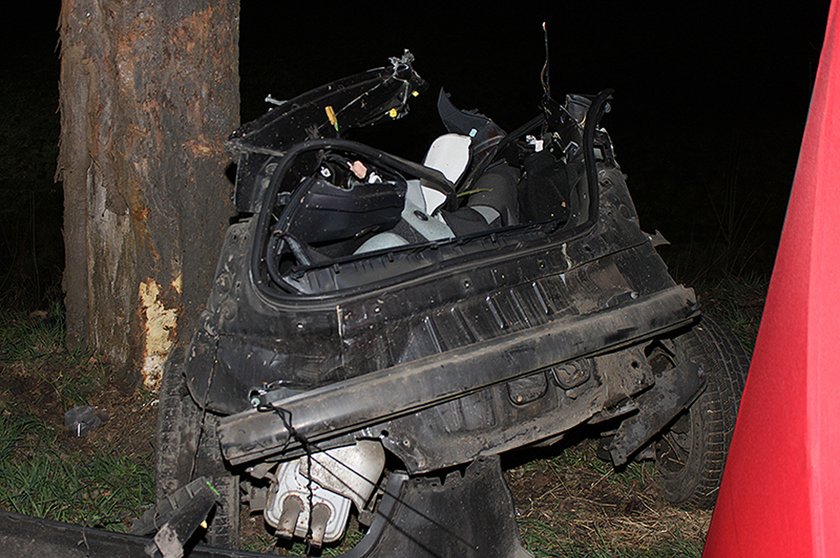 Osobówka uderzyła w drzewo. Auto rozerwało na części!