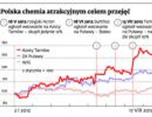 Fuzja Azotów: Skarb Państwa przeciwny dominacji Tarnowa