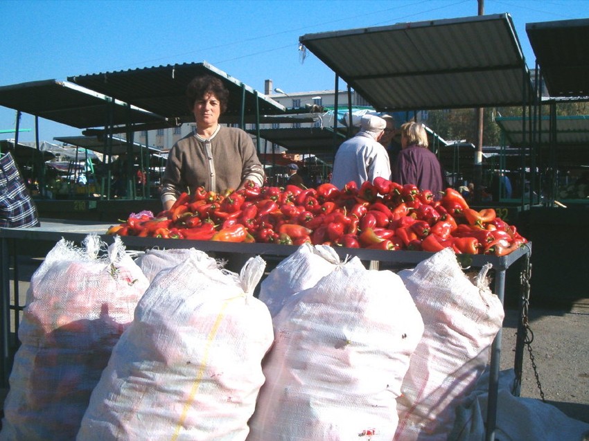U planu izvoz ajvara sa geografskim poreklom u zapadnu Evropu