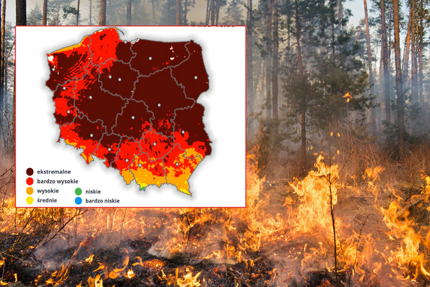 Katastrofalne prognozy dla Polski. Zagrożenie pożarowe jest ”ekstremalne”