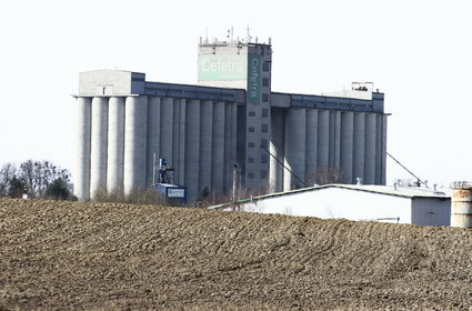 Będą dopłaty do zboża. Wiceminister rolnictwa podał kwotę