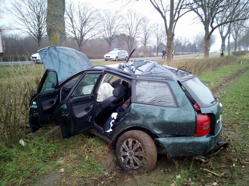 Audi uderzyło w drzewo. Kierowca walczy o życie, jego pies zginął