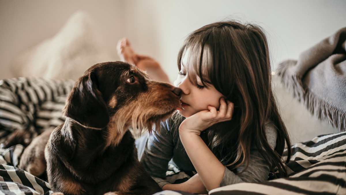 Stało się. Zapadła decyzja o adopcji pupila. W końcu schroniska pękają w szwach od psich i kocich nieszczęść, a dzieci lepiej wychowują się w towarzystwie czworonogów. Ale jak się do tego przygotować? Wszak wiadomo, że takie zwierzę ma swoją historię i najczęściej jest po przejściach. 