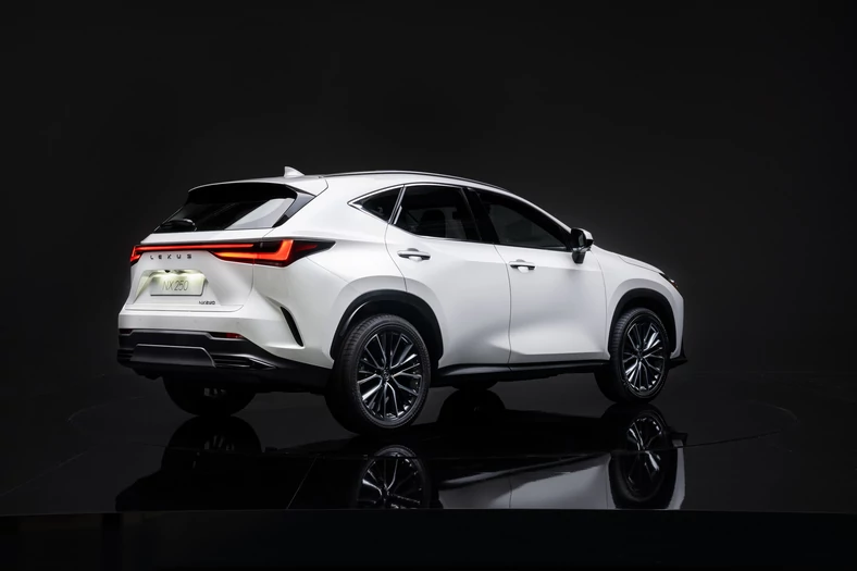 Lexus NX 250