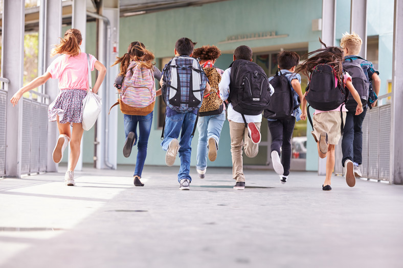 Ogólnopolska Sieć Edukacyjna