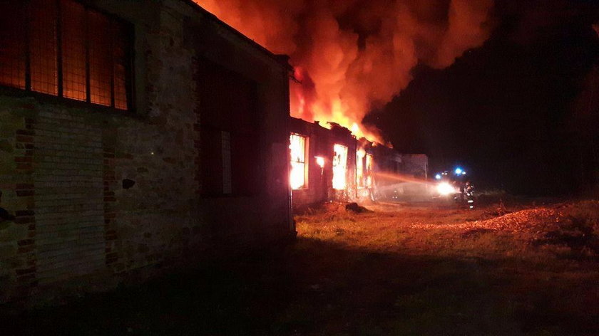 Gigantyczny pożar w Wąchocku! Na miejscu ponad stu strażaków