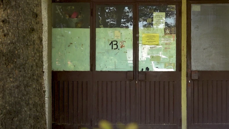 Slađa Alegro, emisija "Metar moga sela"