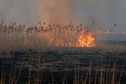 Pożar w Biebrzańskim Parku Narodowym