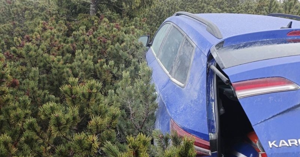 Niewiarygodne, gdzie ukryli skradzione auto. Złodziei poniosła fantazja