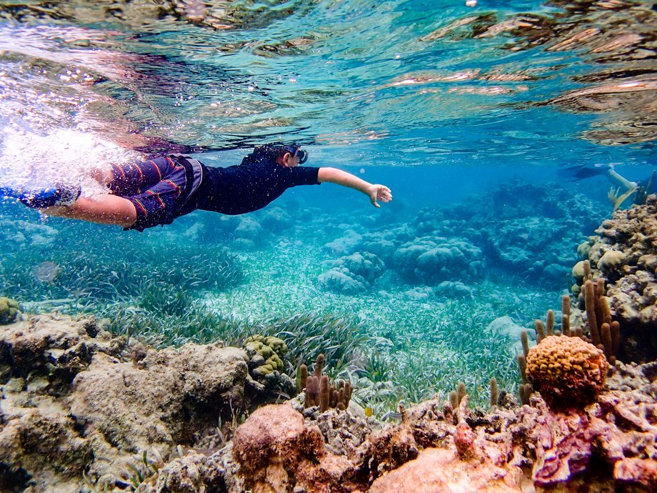 Rafa koralowa w pobliżu Ambergris Caye