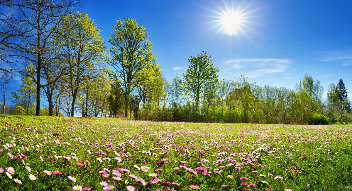 The warmest May Day. A summer temperature awaits us then