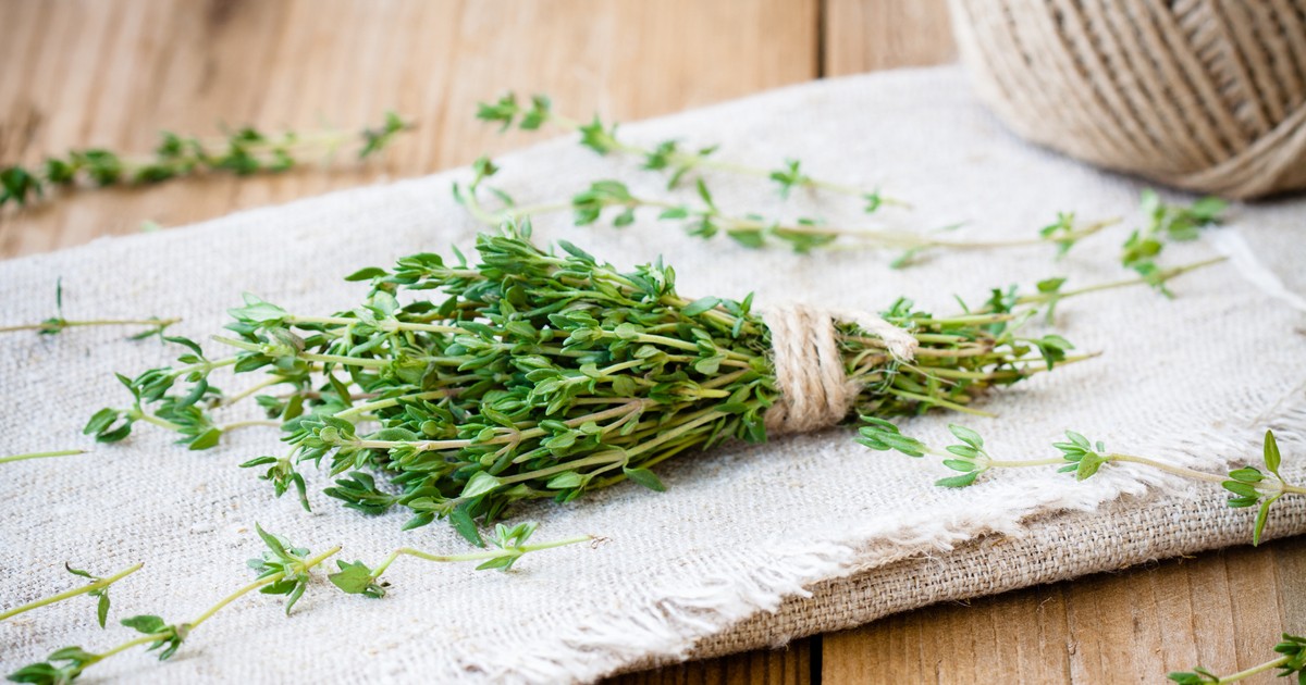 Magda Gessler o "magicznym ziele z Hiszpanii". To skarbnica witamin