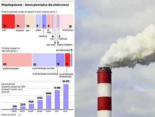 Wielkie elektrownie postawiły na swoim. Będą spalać biomasę