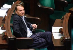 Sikorski: Nie będę kandydował w wyborach parlamentarnych