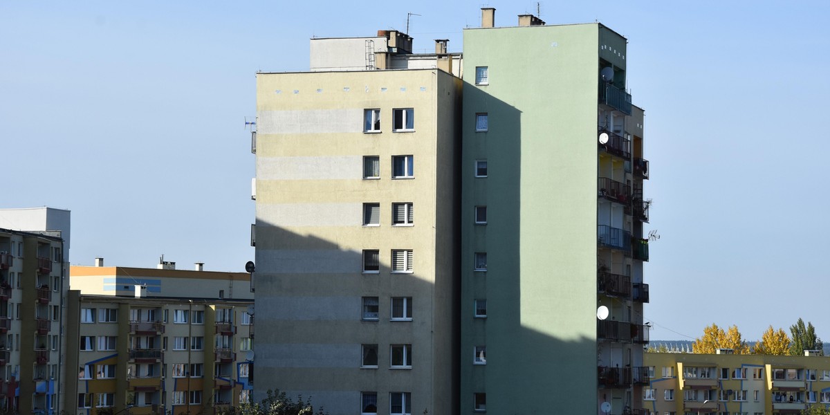 Wyrzucił kota przez balkon