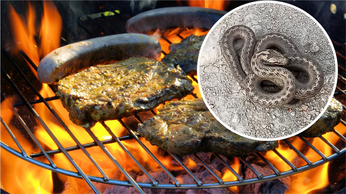 Strefa grillowa na krakowskim Zakrzówku zlikwidowana. "To przeważyło szalę"