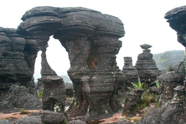 Galeria Wenezuela - Gran Sabana i Roraima, obrazek 9