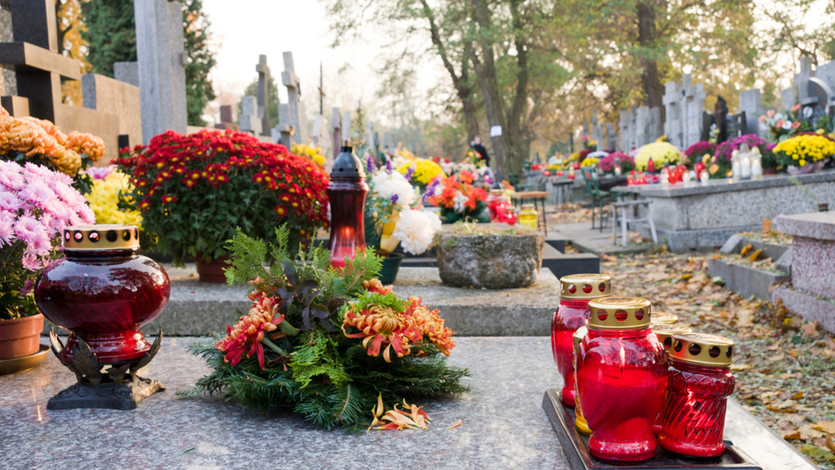 Szczątki ludzkie na wrocławskim cmentarzu. Śledztwo policji