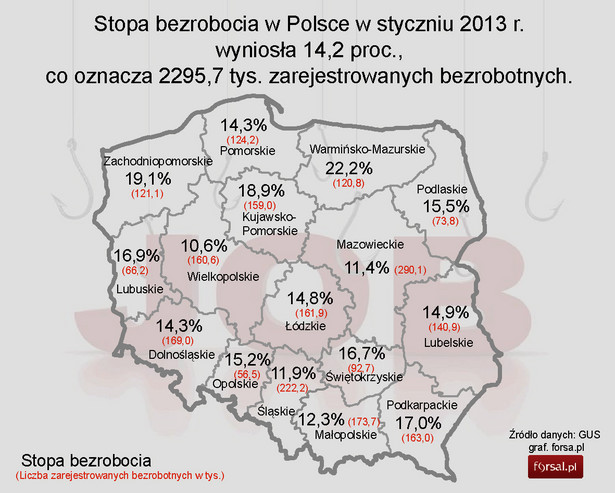 Bezrobocie w Polsce w styczniu 2013 r. - mapa z podziałem na województwa