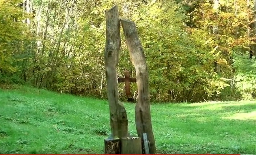 Šuma kao poslednje odmorište