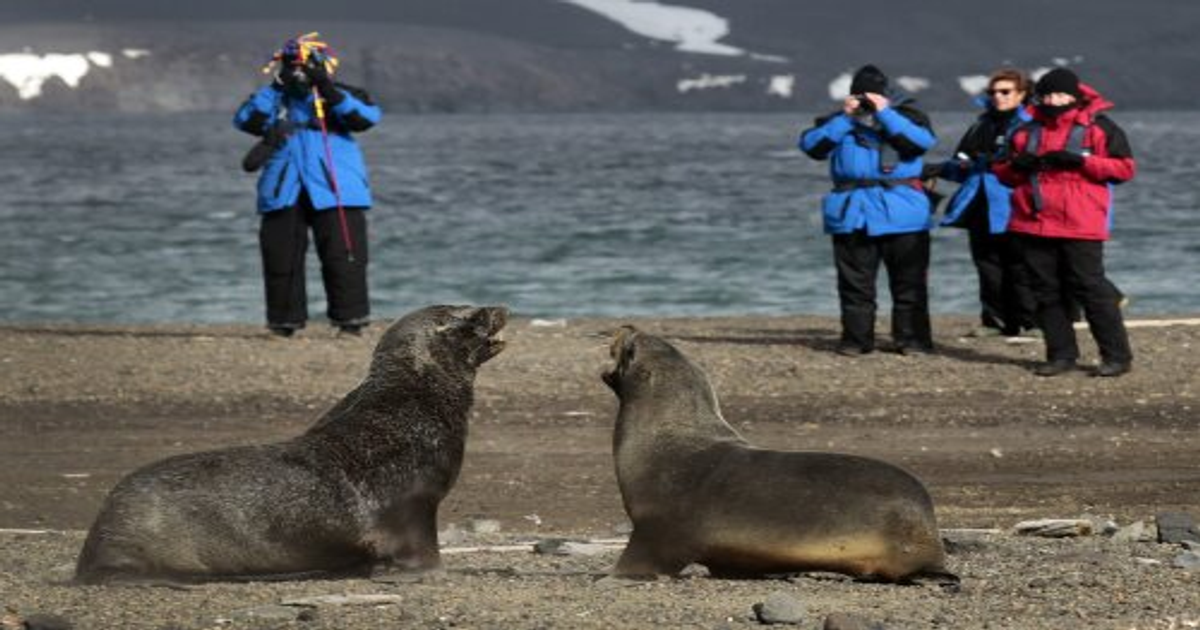 Antarktyka: Turyści niszczą kontynent zanieczyszczeniami