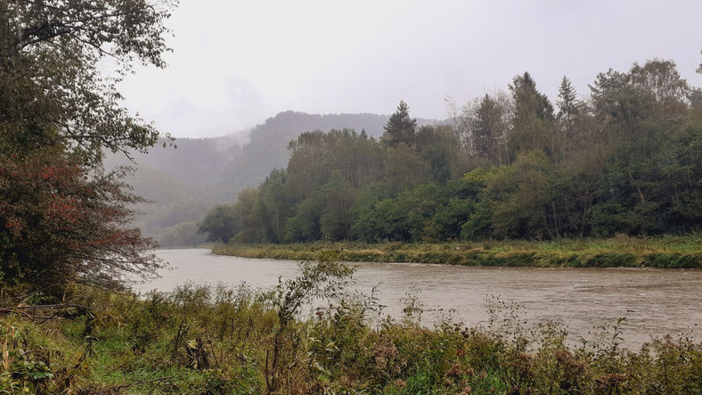 Meandrujący San