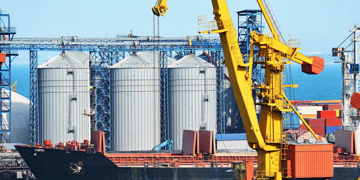 Statek przy nabrzeżu zbożowym w odeskim porcie