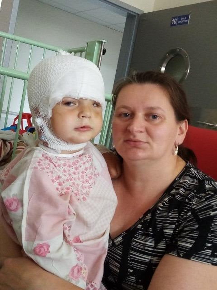 Mama pogryzionego Sebastianka dziękuje czytelnikom Faktu za pomoc: "Macie wielkie serca!"