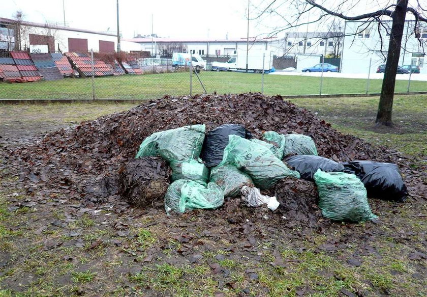 Tak się sprząta w Łodzi