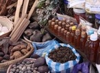 Who is regulating traditional medicine practitioners on social media?