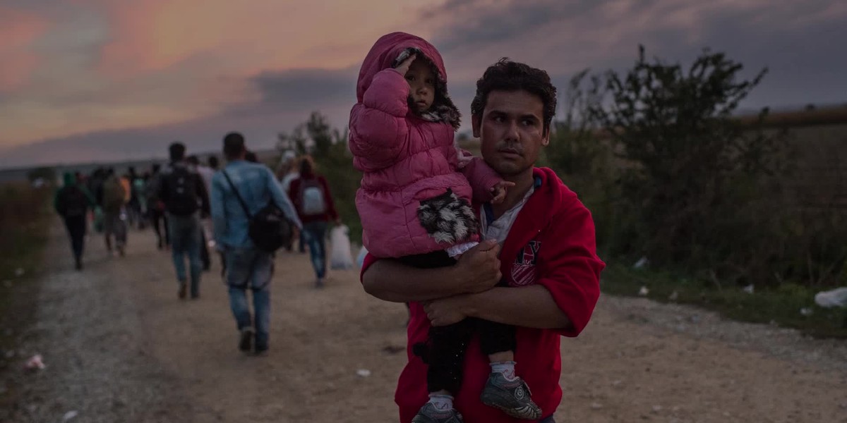 Wyjaśnij Znaczenie Podanych Pojęć Migracja Cudzoziemiec Imigrant Uchodźca Imigrant czy uchodźca? Czym się różnią? - Wiadomości