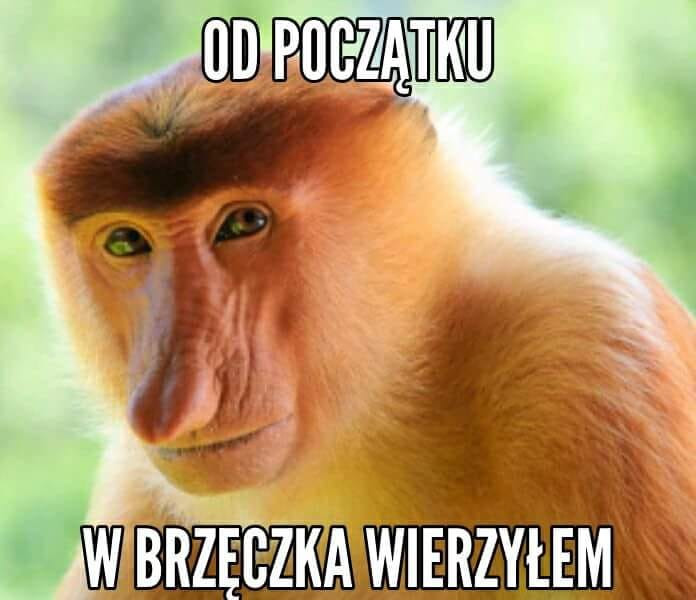 Memy po meczu Izrael-Polska