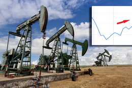 Problemy banków sięgnęły rynku ropy. Decyzja OPEC oznacza podwyżki dla kierowców