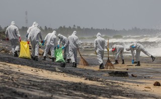 Sri Lance zagraża katastrofa ekologiczna. Martwe zwierzęta wyrzucane na brzeg